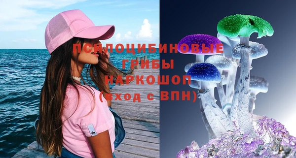 2c-b Богородицк