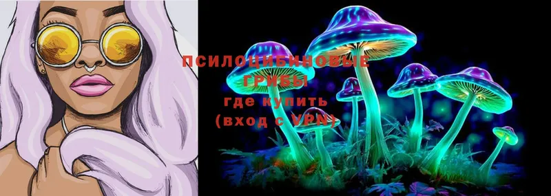 Псилоцибиновые грибы MAGIC MUSHROOMS  Камешково 